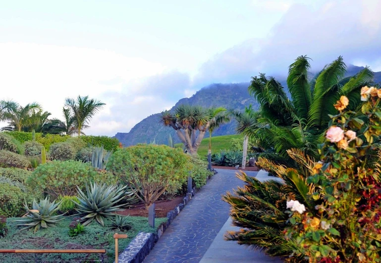 the walkway at the foot of a mountain