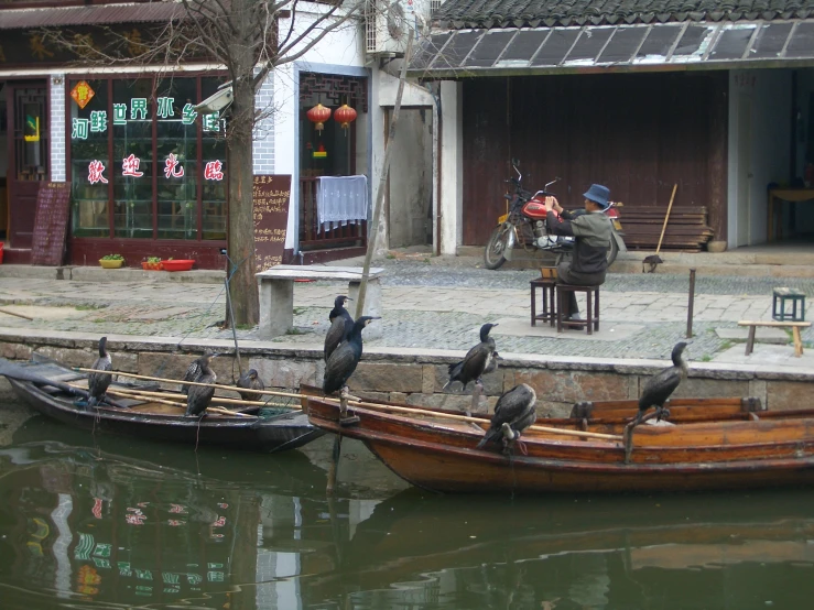 a group of birds sitting on a boat in a waterway