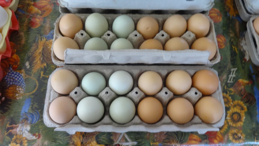 eggs are displayed with several different varieties in boxes