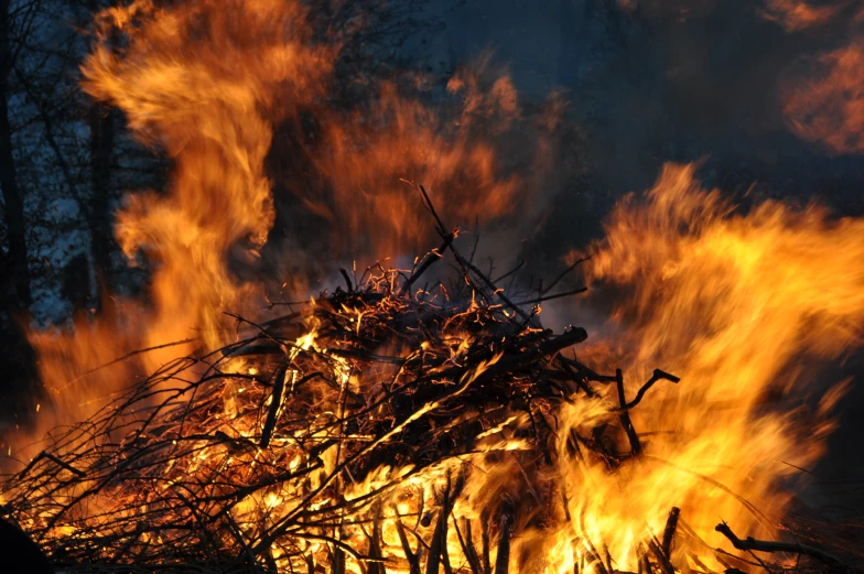 a fire is burning on the ground in the forest