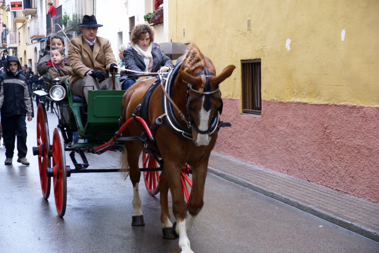 two people ride in the back of a horse drawn carriage