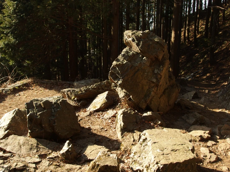 some large rocks near a small forest