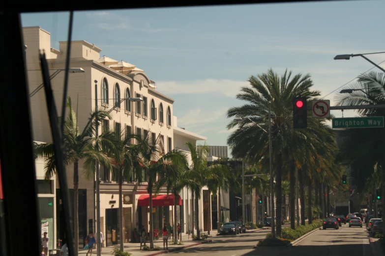 palm trees lining the street in the daytime