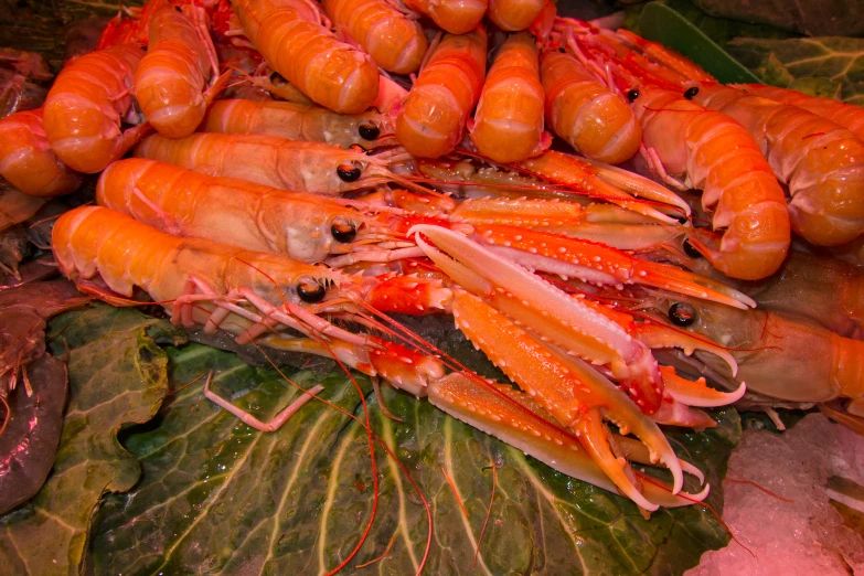 a close up of various types of food