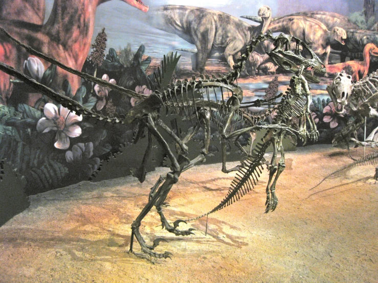 an image of an dinosaur skeleton at the museum