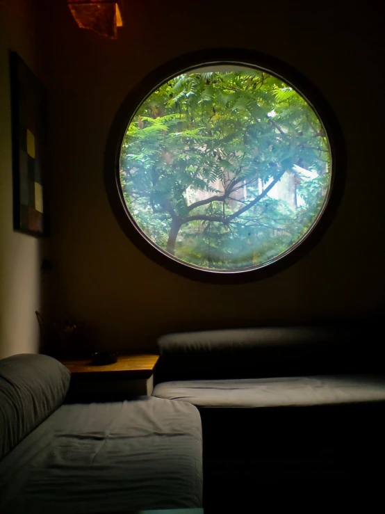 circular window showing the view from the couch