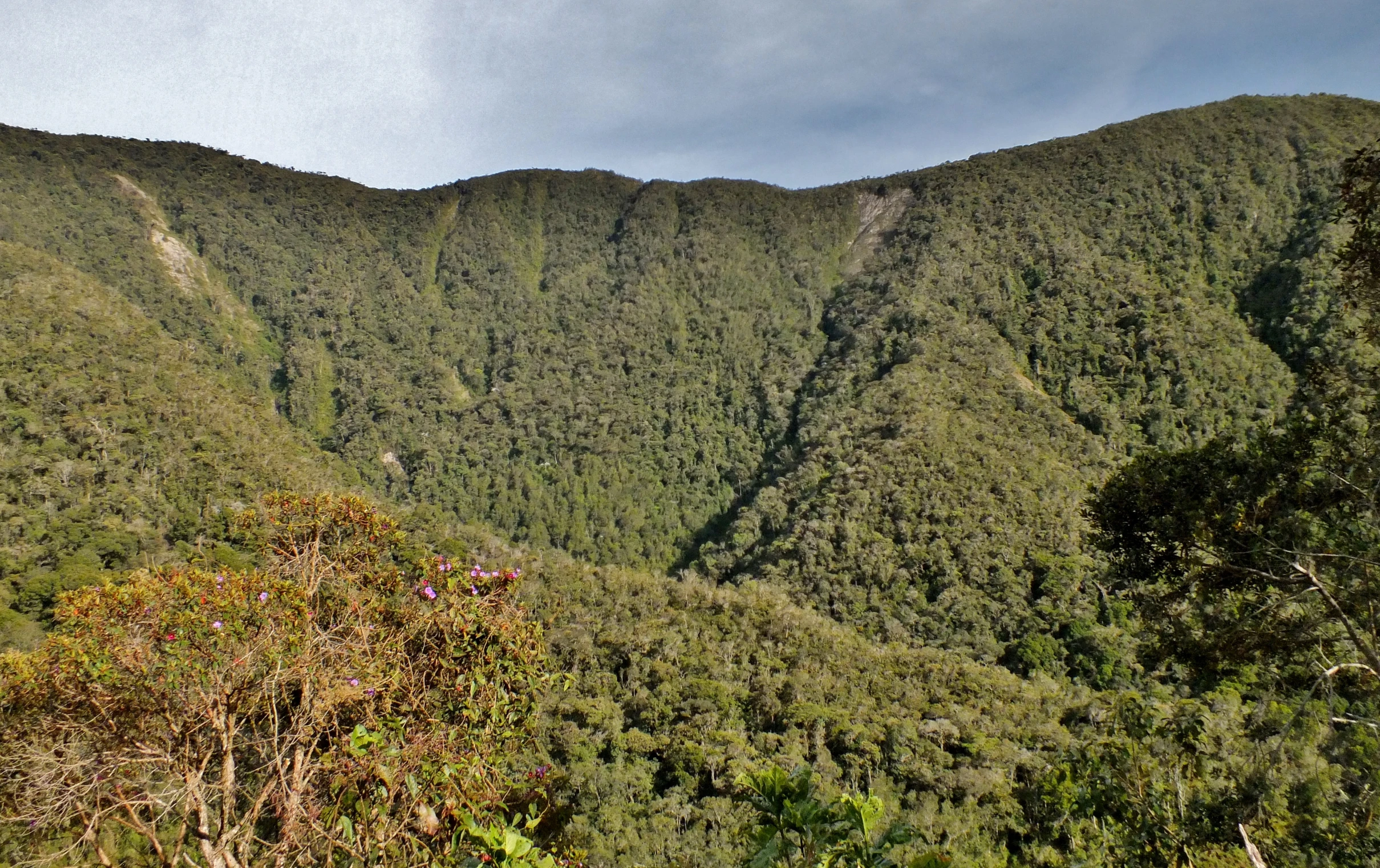 the tops of mountains, with some green plants