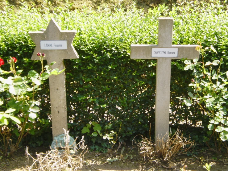 two cement crosses have flowers on their heads