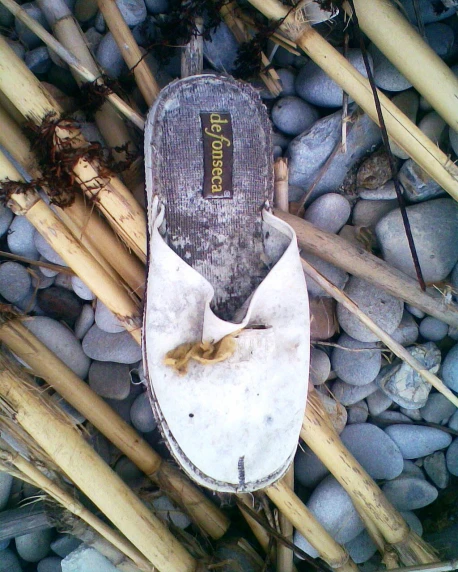 the worn shoe is on the rocks among the tall grasses