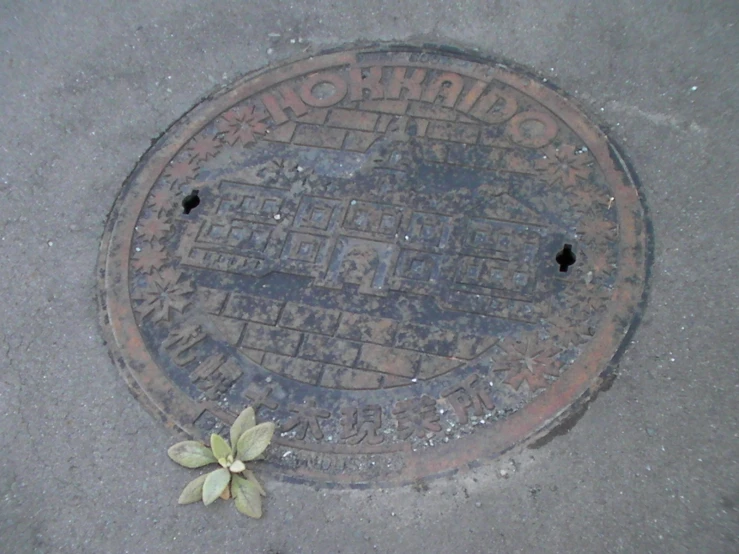 a fire hydrant cover with words and flowers