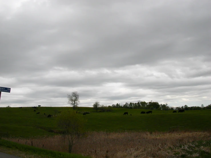 an empty field with a bunch of animals grazing in it