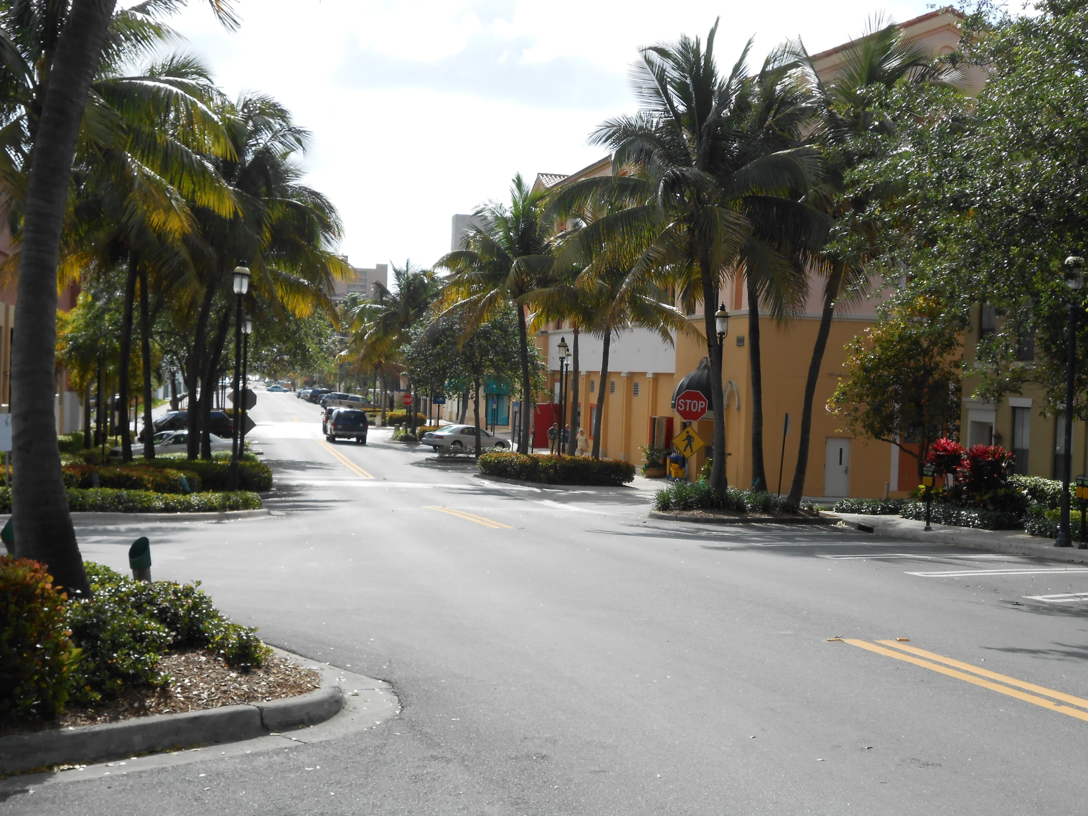 a street lined with palm trees and street lights