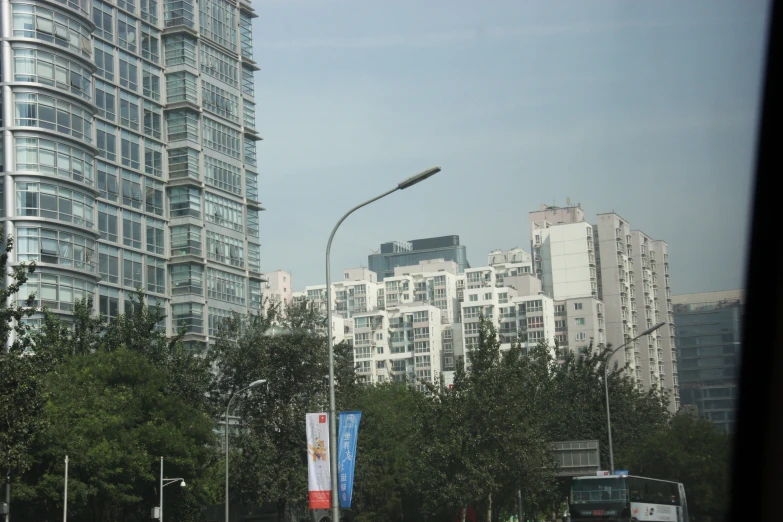 several trees and buildings on the street