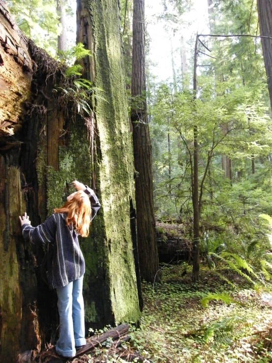 a woman standing by a tree with her arm extended