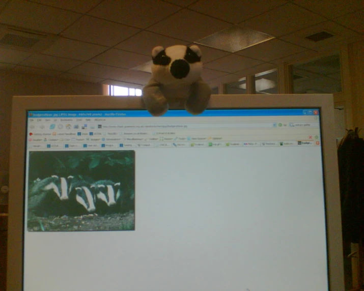 a stuffed animal toy sitting on the top of a laptop
