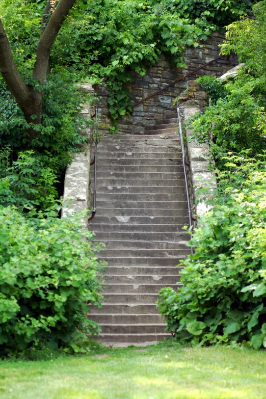 the staircase runs down to the park under the trees