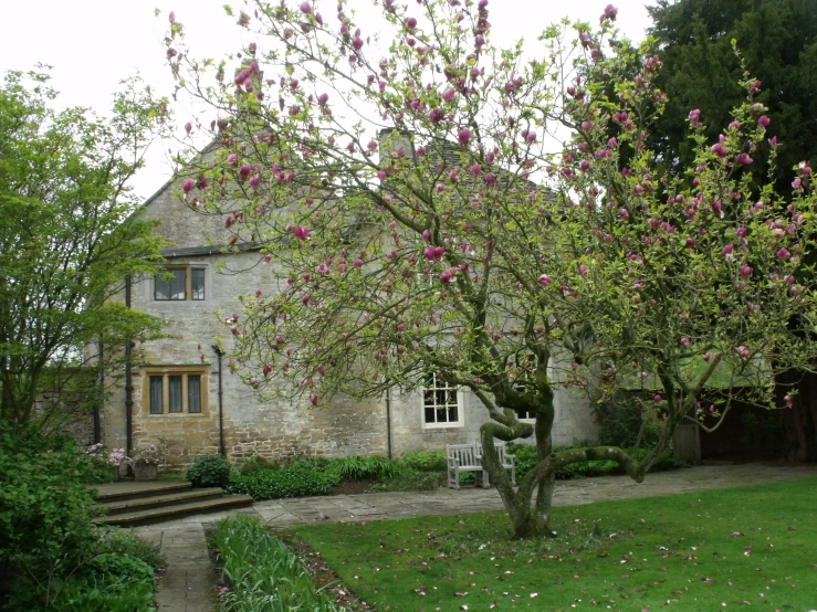 an old house with several flowering trees and some steps