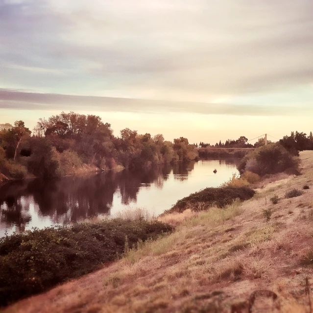 a view of a river with trees along the bank