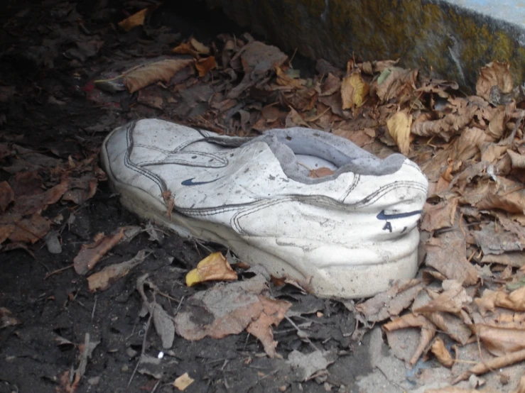 the footwear is left on the ground covered with leaves