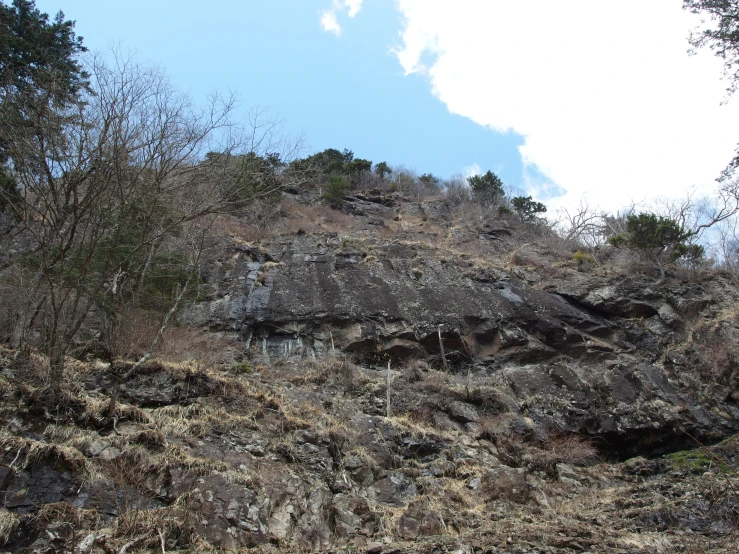 the view of some cliffs and grass with trees on top