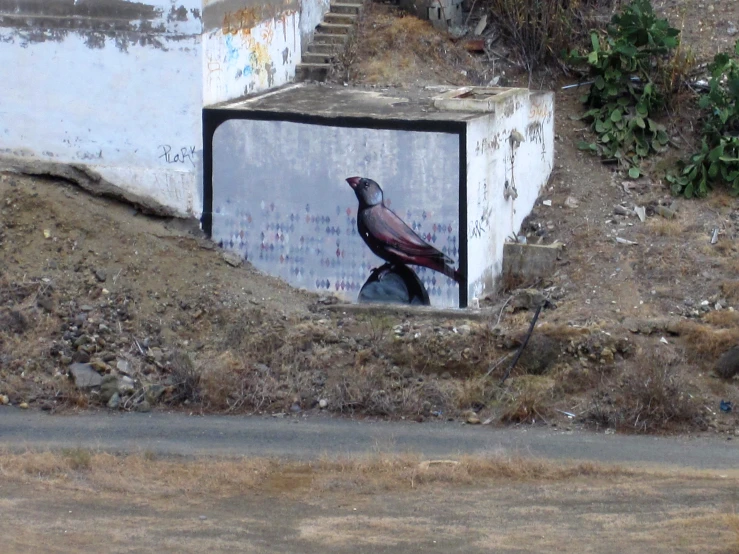 a bird sitting on the side of a building