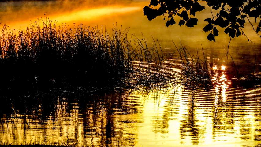 sunset over marsh grasses reflected in calm water