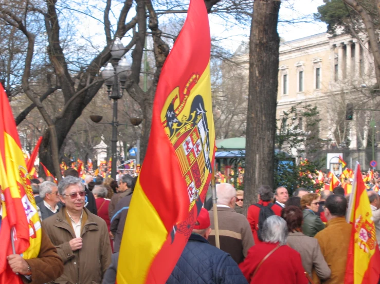 many people with flags are standing around