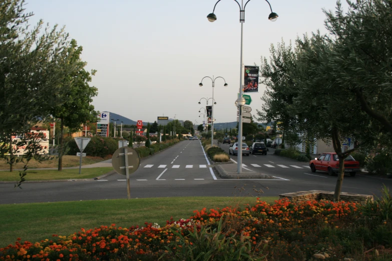 a small city road with flowered plants and trees