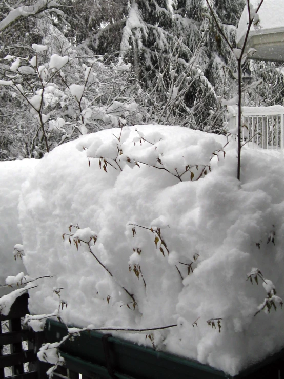 snow piled on the wooden fence outside