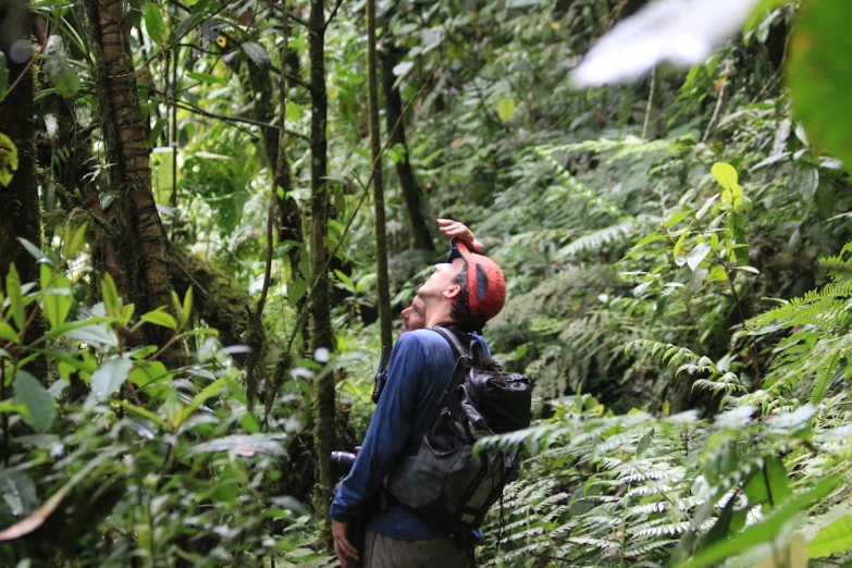 man in a forest of plants wearing red and blue