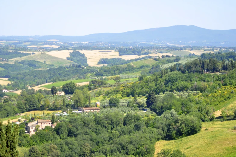 the land surrounding the wooded hillside has a lot of green