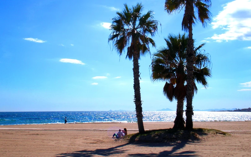 people walking on the beach, near palm trees