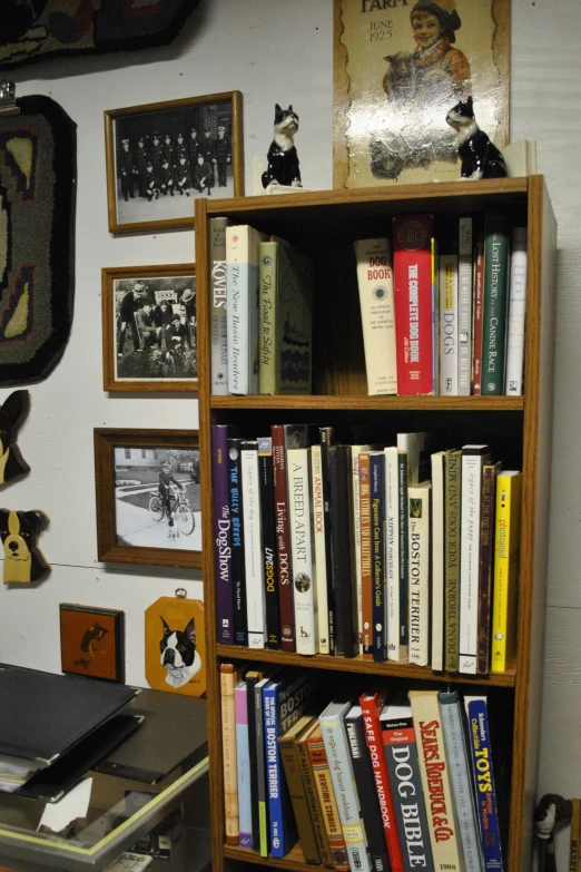 books on display on wooden shelves against wall