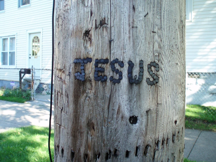 a tree that has been carved with a name on it