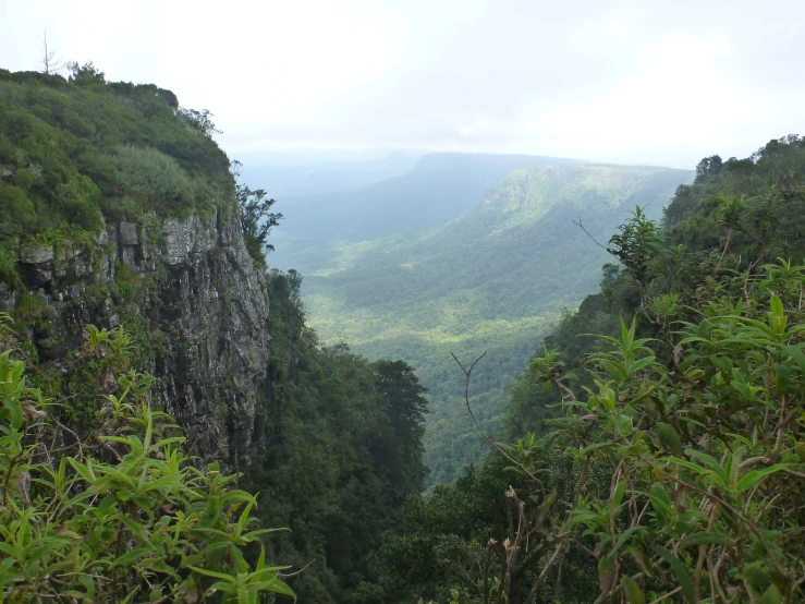 a very tall mountain side with lush green vegetation