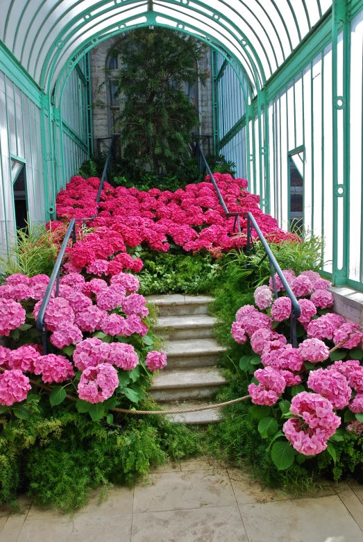 several pink flowers on the bottom row of steps