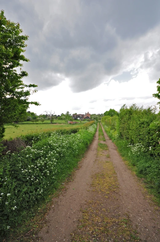 a dirt road near several trees with clouds overhead