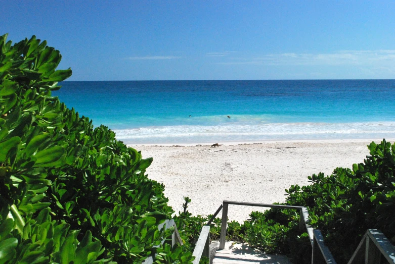 there is a very nice view of the beach and the blue ocean