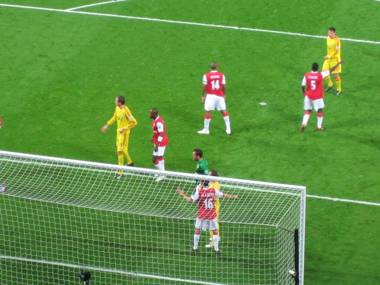 a group of soccer players stand on the field