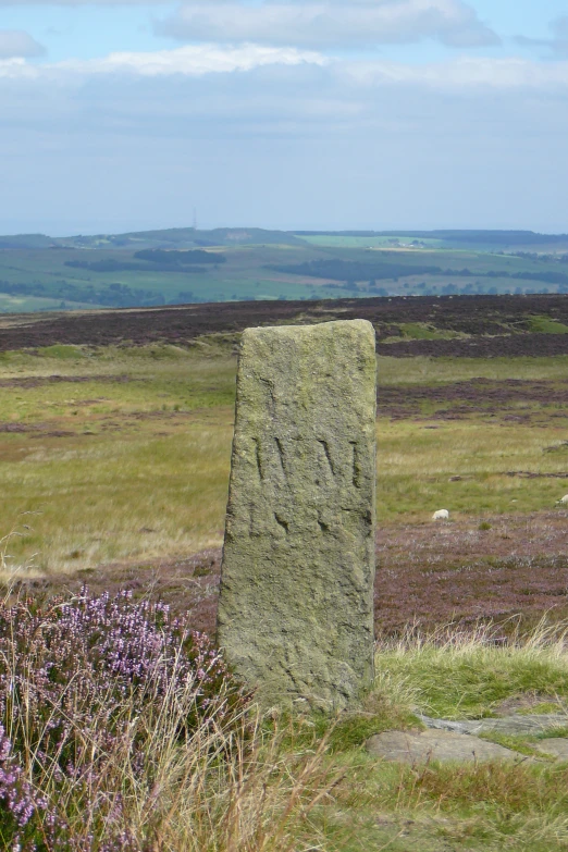 a stone in a field with flowers near by