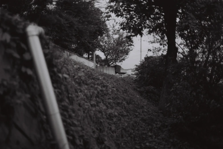 a fence and some trees near a grassy field