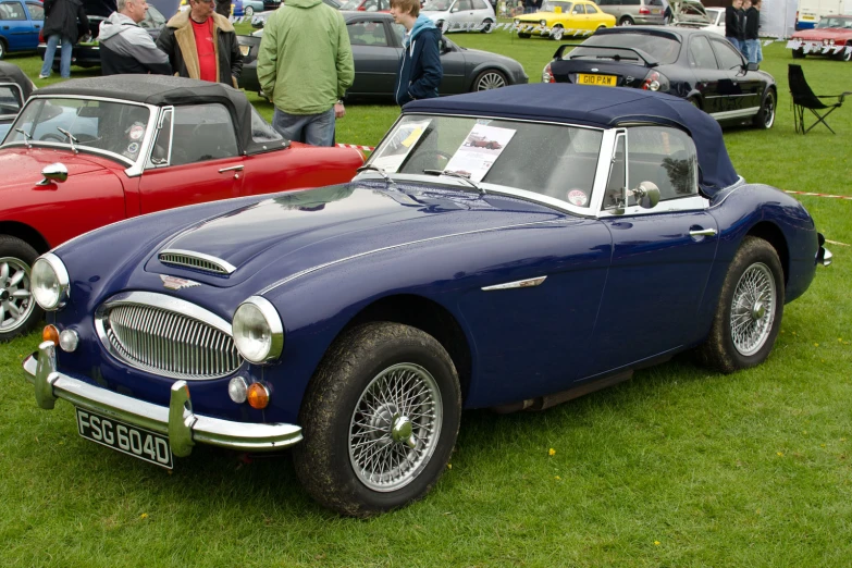 two older cars parked on a lush green field