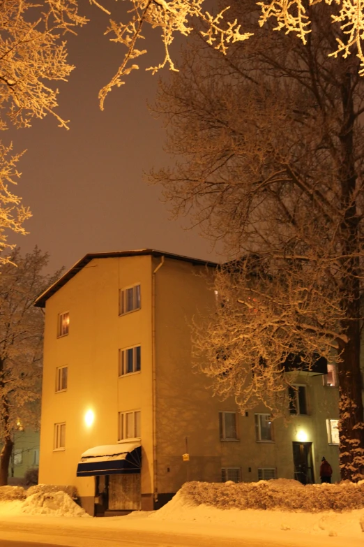 there are snowy trees in front of the building