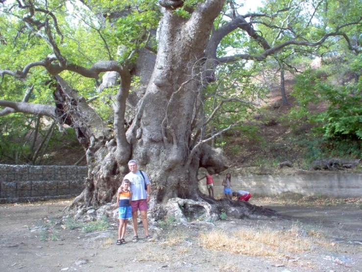 two men standing in front of a large tree with a fence behind them