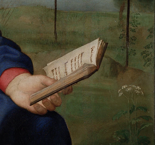 a close up of a person reading a book
