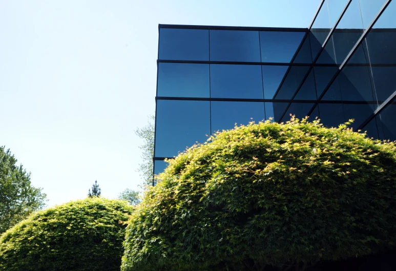 a building that has very many plants on the corner