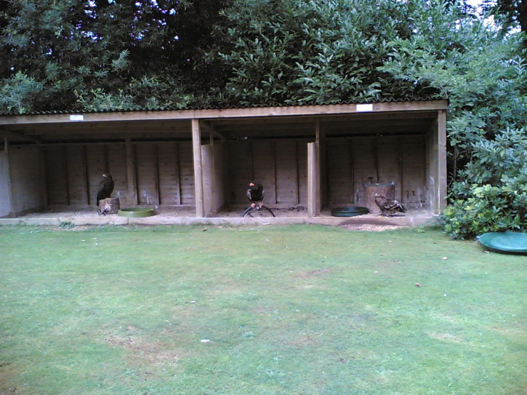 two men in the back of a building next to green grass