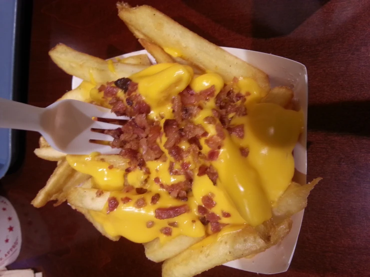 a plate of cheese fries with bacon and a fork