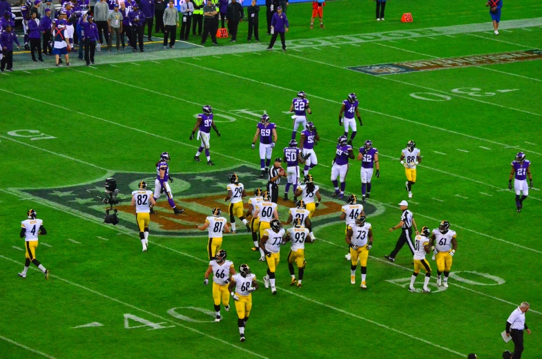 a football team that is on the field during a game