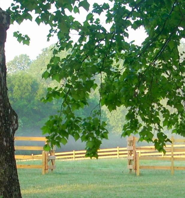 a wood fence is surrounded by green grass